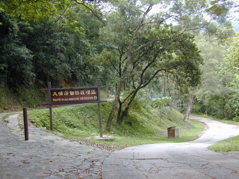 trail_073002