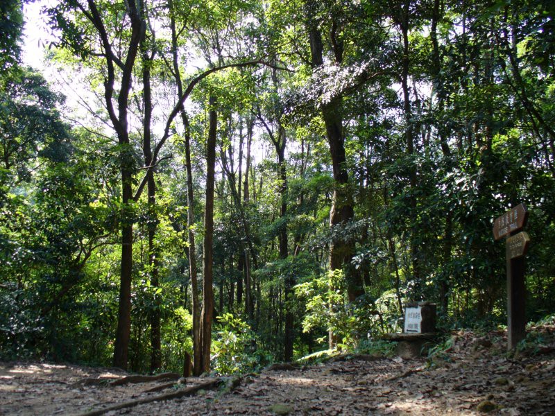 trail_073004